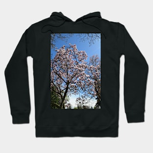 Springtime Blooms Hoodie